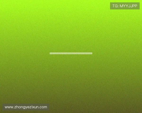 皇城国际在线娱乐：多样化的支付方式，方便快捷的充值提现体验让你玩得更尽兴