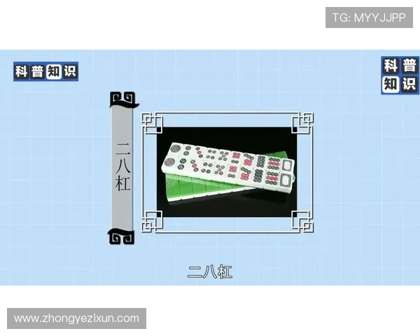 二八杠游戏玩法规则详解及常见误区避免策略分析